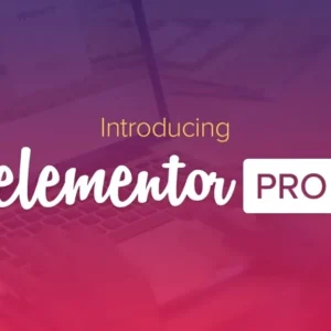 Elementor Pro v3.28.0 – Most Advanced Website Builder Plugin
